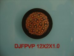 DJFPVP 12*2*1.0 計算機(jī)屏蔽耐高溫電纜