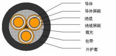 3*2.5，3*3，3*4，3*6，3*10，3*16，3*25屏蔽電纜結(jié)構(gòu)圖