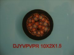 DJYVPVPR 0.3/0.5KV 10*2*1.5 計算機(jī)屏蔽電纜